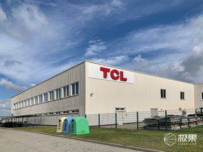 对话王成 TCL如何在2020年跻身欧洲前三，国内贸易代理又扮演何种角色？