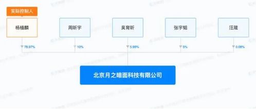 国内什么样的ai公司现在能拿到vc投资